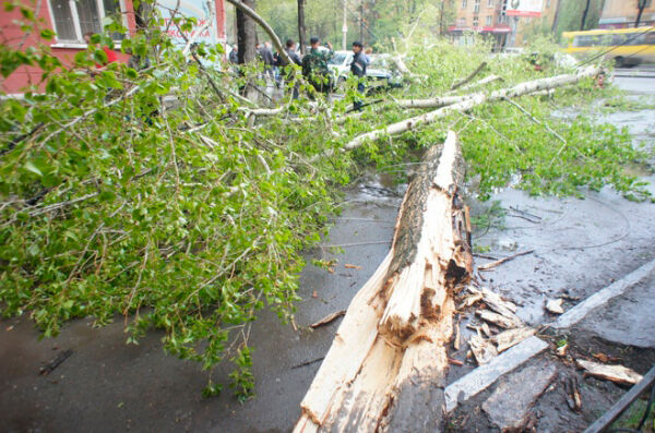 Вслед за Шойгу на Самару обрушился ураган