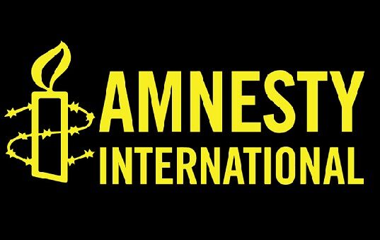 Amnesty International считает налоговое преследование Кузьминой политическим