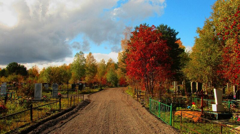 Покойники — в очередь