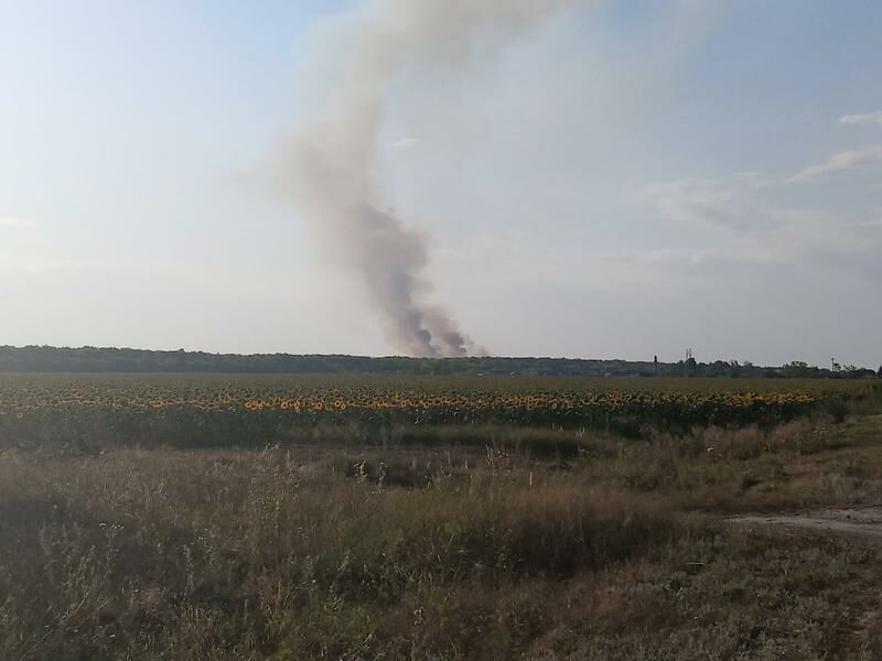 В Шигонском районе потушили лесной пожар