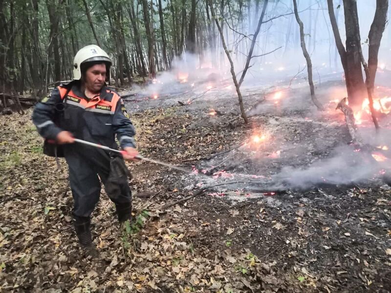 В Самарской области бушуют пожары