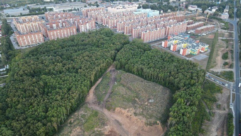 Жители «Новой Самары» снова протестуют против вырубки леса