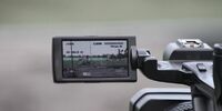 «Терре» банкротство не грозит
