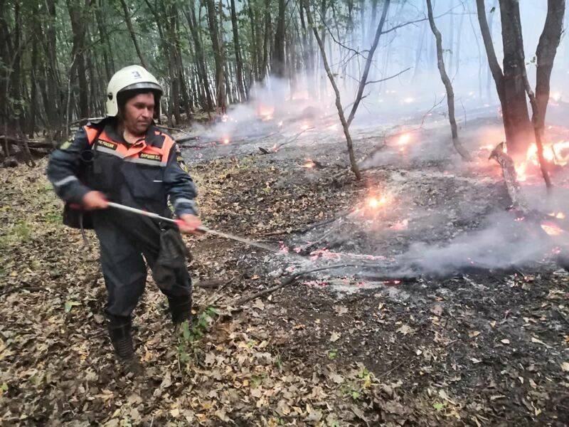 Борский район получил субсидию на ликвидацию последствий пожаров