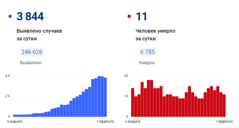 Коронавирус в Самарской области: 7 февраля