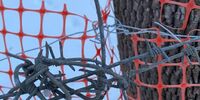В Самаре пройдёт собрание из-за уничтожения парка
