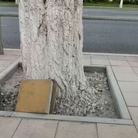 Вадим Афанасьев Telegram