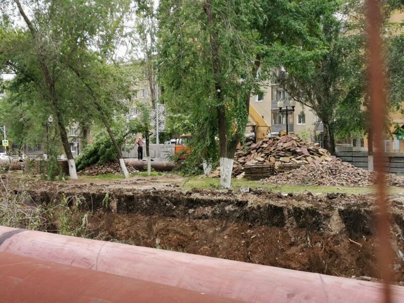 В Самаре в Парке Мира вырубили несколько десятков деревьев