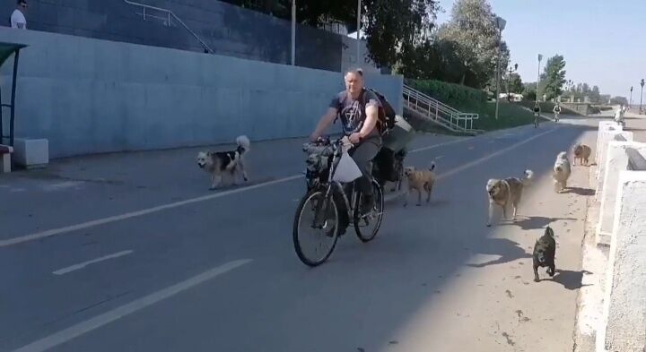 В Самаре у знаменитого дяди Вовы отобрали собак