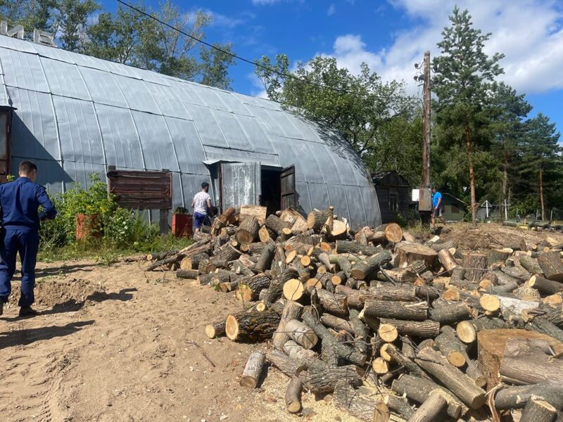 На острове Рождественский незаконно уничтожили деревья