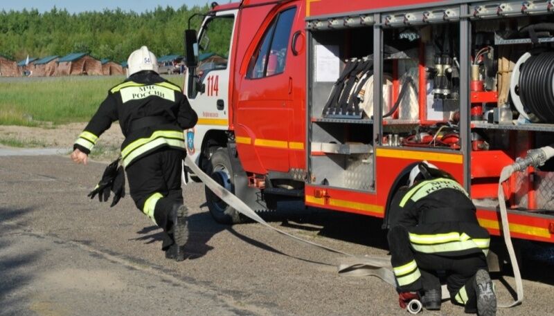 В Самарской области начал действовать полный запрет на посещение лесов