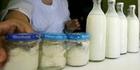 Дети Самарской области могут остаться без качественных молочных продуктов