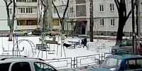 В Самаре завели уголовное дело из-за нападения собак на ребёнка