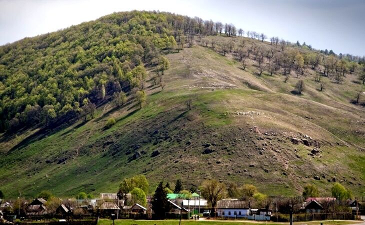 Неизвестный вырубил лес​ в «Самарской Луке»