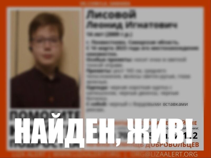 «Найден, жив!»: о настоящем подвиге добровольцев «Лиза Алерт» и ценности человеческой жизни