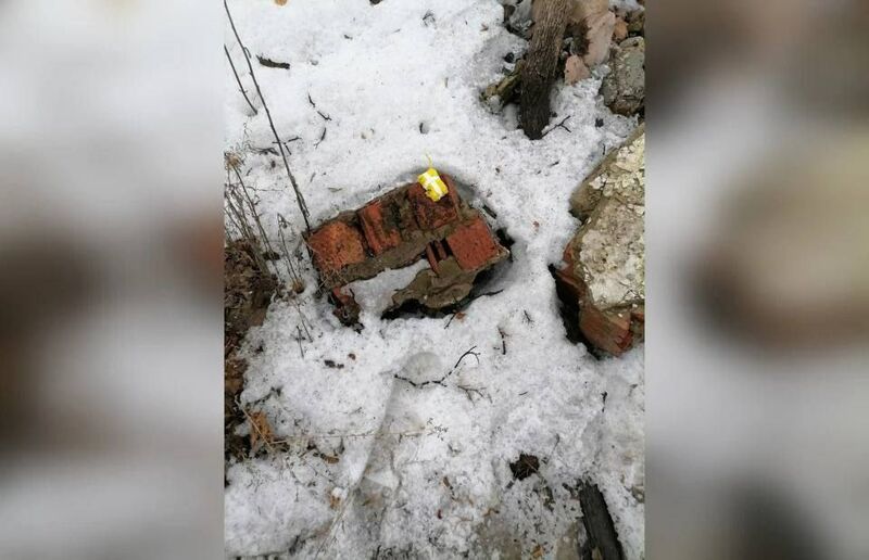 В Самаре бездомные собаки помешали наркозакладчикам