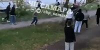 В Самаре разбираются в причинах массовой драки в парке Победы