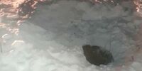 Возбуждено уголовное дело из-за падения ребенка в колодец