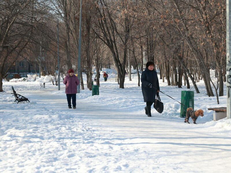 Иван Носков пообещал восстановить водоемы в «Воронежских озерах»