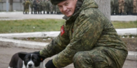 Мандатная лихорадка Холина
