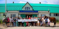 Несчастливая подкова