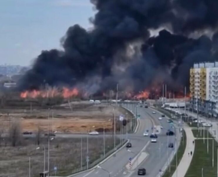 Администрацию Черноречья оштрафовали за отсутствие минерализованных полос