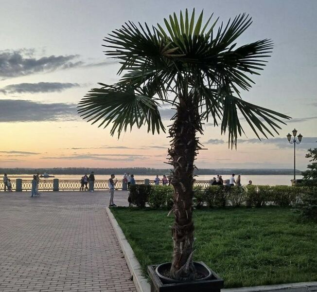 Участок самарской набережной возле «Струкачей» решили не передавать частнику