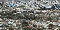 На мусорном полигоне в Сергиевском районе допускались нарушения