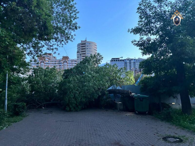 В Самаре на коляску с десятимесячным ребёнком упало дерево