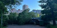В Самаре на коляску с десятимесячным ребёнком упало дерево