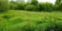 Деньги на строительство инфраструктуры к участкам многодетных семей и участников «СВО» выделят через конкурс