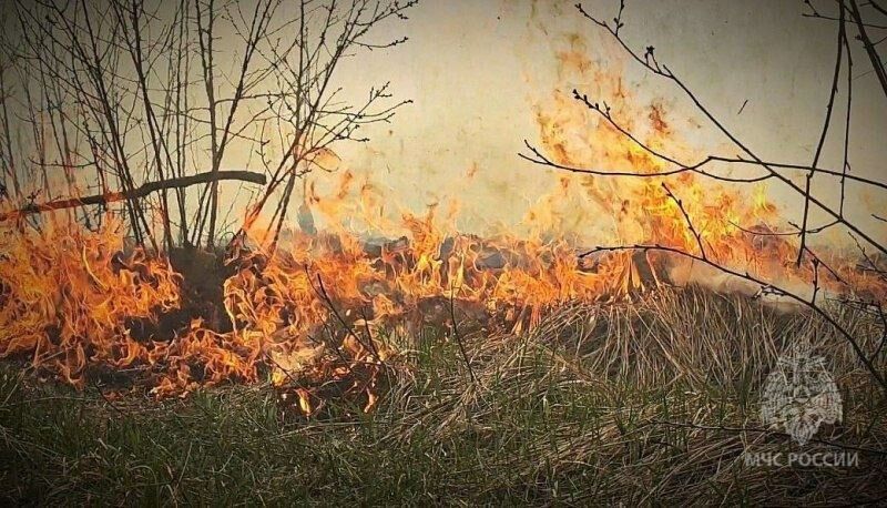 На острове Зелёненький полыхнула трава