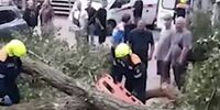Ильи Сухих пообещал пилить и валить