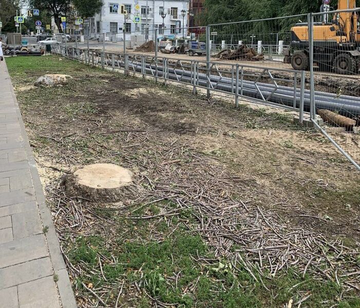 Самара продолжает «лысеть»