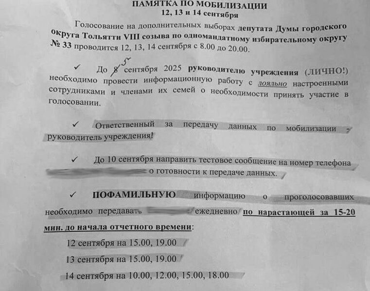 В Тольятти проводят мобилизацию электората