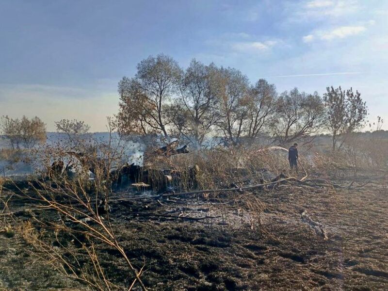 В Рачейском лесничестве снова сгорел лес
