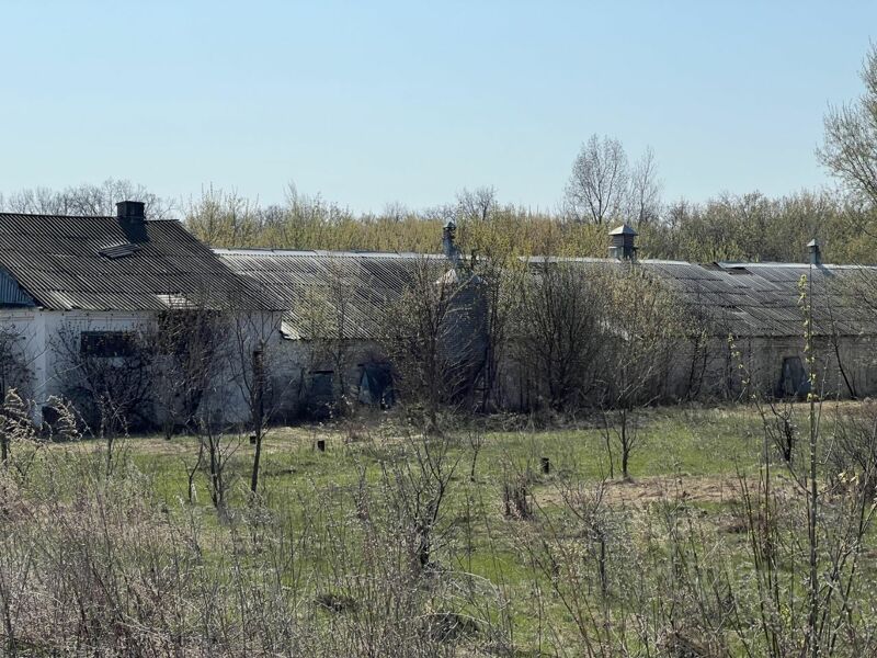 Останки Обшаровской птицефабрики продают за 7,5 млн рублей