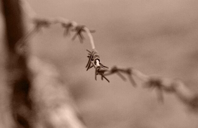 В Самарской области выросло количество коррупционных преступлений