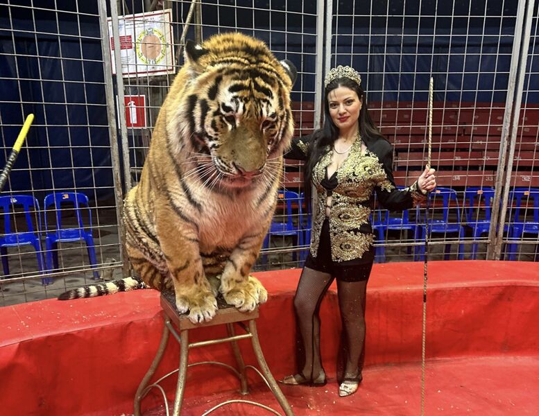 Цирк-шапито «Арена Макао» не уведомил о гастролях в Самаре