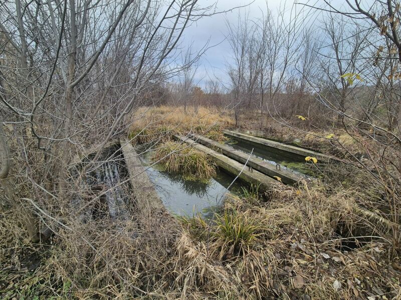 В посёлке Балашейка чиновники допустили антисанитарию