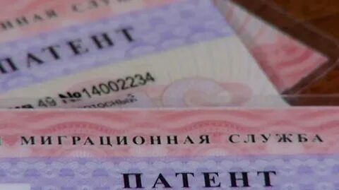 Определена стоимость патента для мигрантов в Самарской области на 2026 год