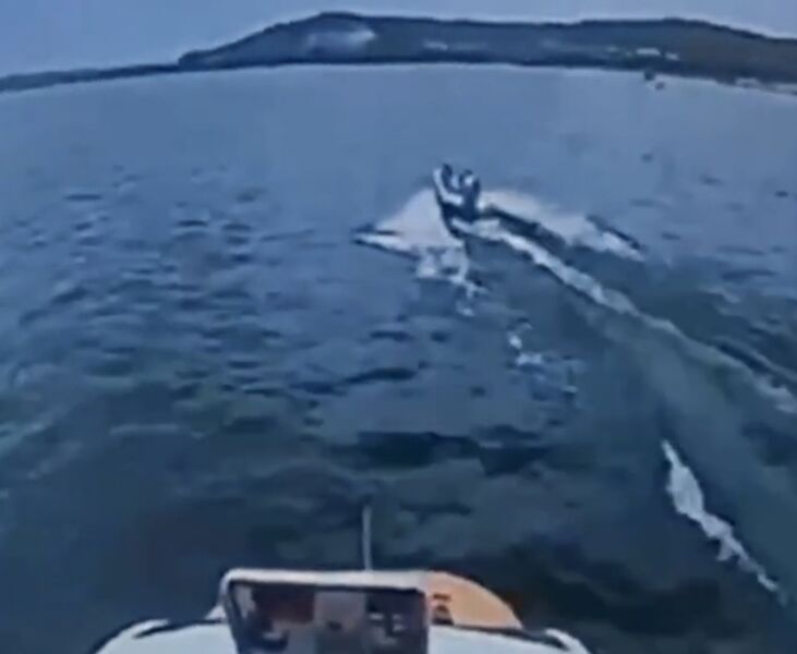 Суд вынес приговор по делу о столкновении теплохода «Валдай» и катера