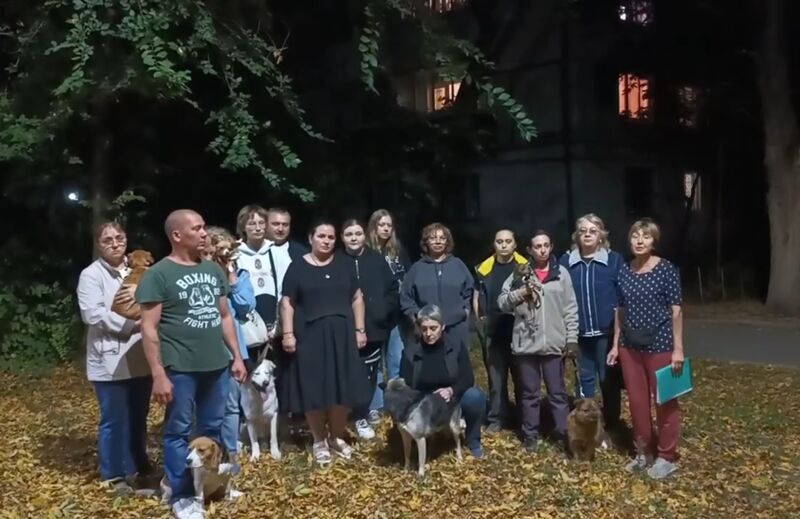 Самарские владельцы собак ждут следователя