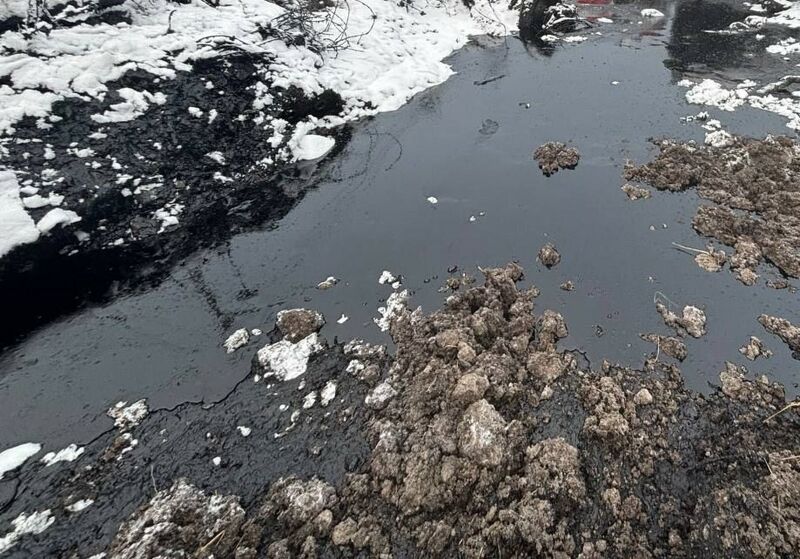 «Самаранефтегаз» обязали возместить экологический ущерб, нанесённый почвам