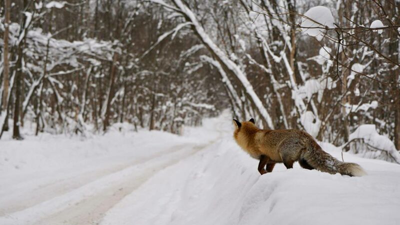 Жителям с.п. Рождествено оставили ледовый путь