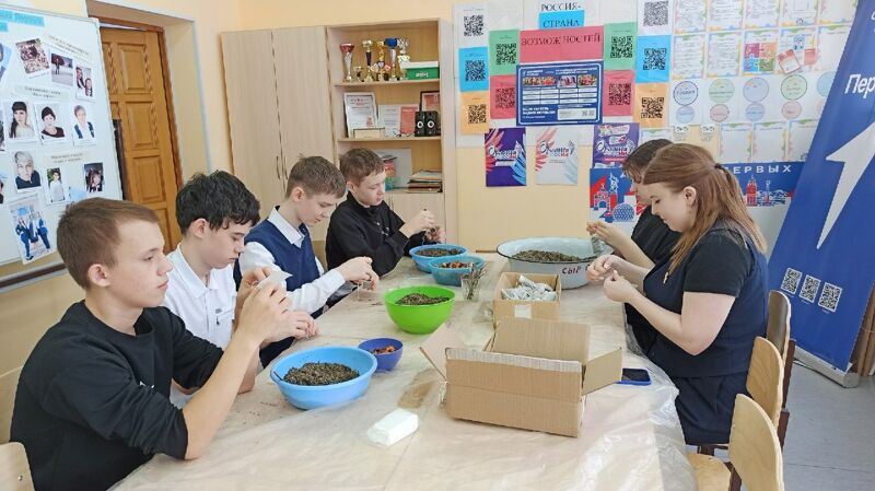 Малолетние травники готовят бойцам СВО витаминную защиту