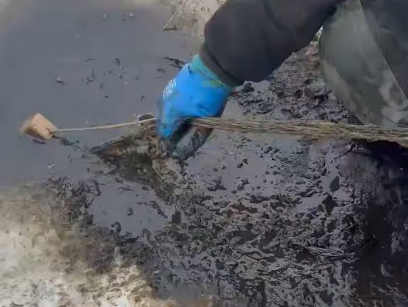В затоне «Грязи» не увидели нефть