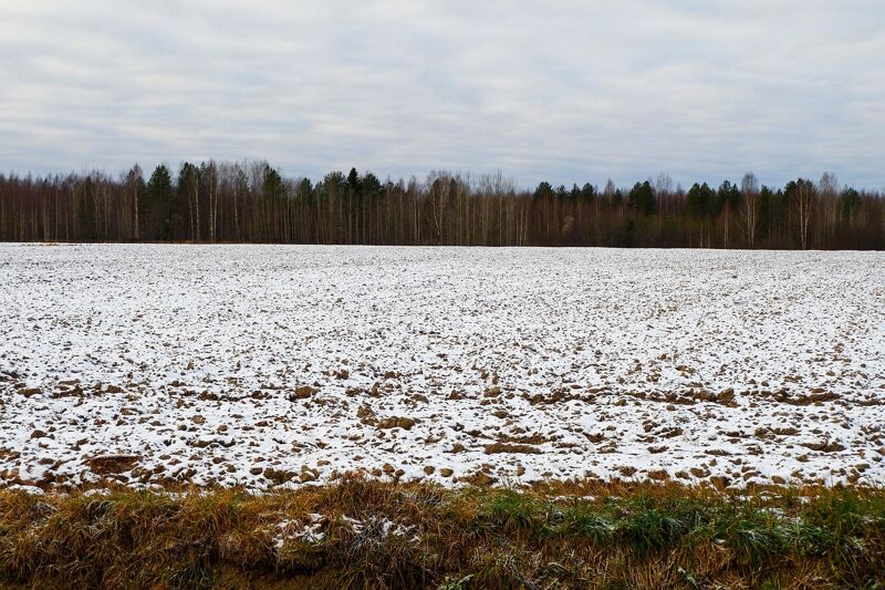 Землю дали, строить нельзя