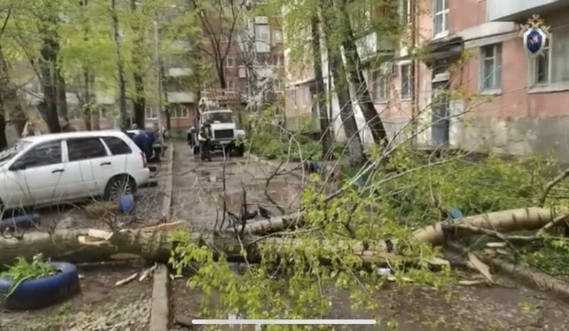 В Самарской области в один день троих человек убило деревьями