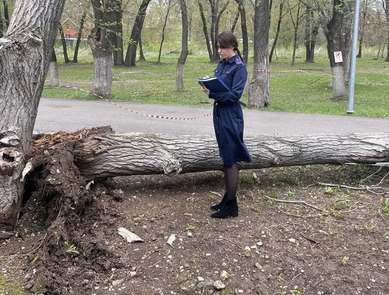 Стало известно о состоянии девочки, на которую упало дерево в Самаре